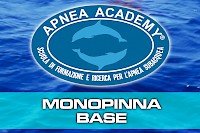 monopinna_base.200x0