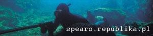 spearo