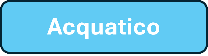 Acquatico