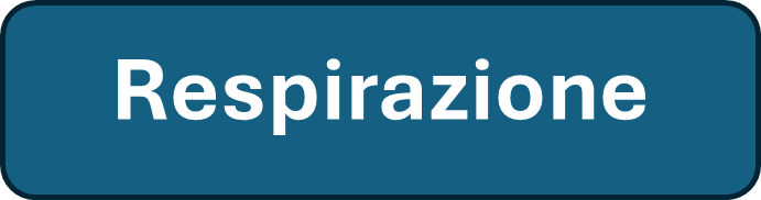 Respirazione